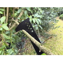 Multifunctioneel gereedschap zaagt een tak in de tuin