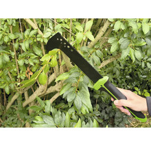 Een persoon houdt een tuinzwaard vast voor een groene haag.