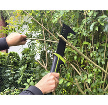 Persoon snoeit takken van een boom met een takkenzaag