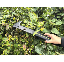 Persoon houdt een takkenzaag in een boom.