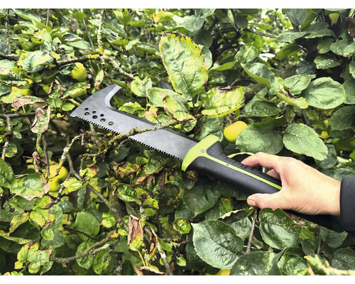 Persoon houdt een takkenzaag in een boom.