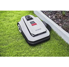 Robotmaaier op gazon