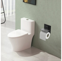 Badkamer scène met toilet en toiletpapierhouder