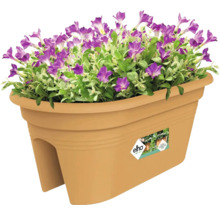 Bloembak met paarse bloemen