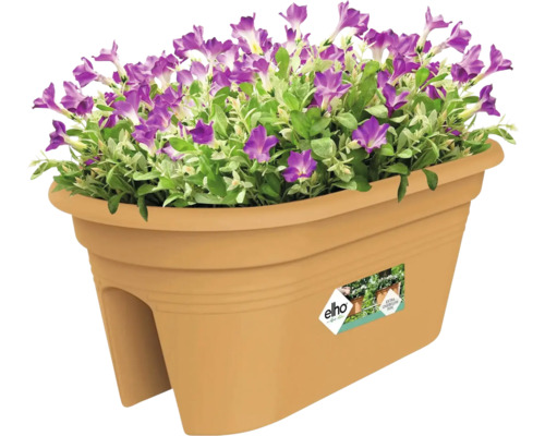 Bloembak met paarse bloemen