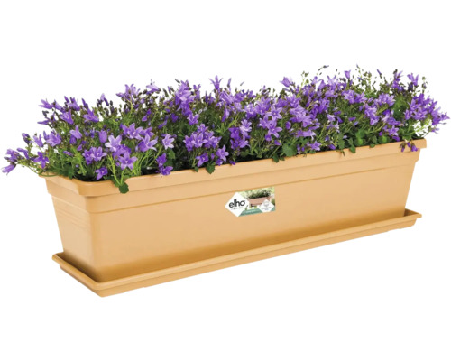 Bloembak met paarse klokjesbloemen