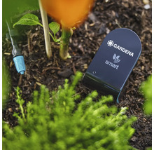 Gardena Smart Sensor in de tuinbed voor bodemvochtmeting