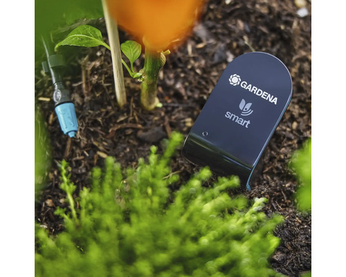 Gardena Smart Sensor in de tuinbed voor bodemvochtmeting