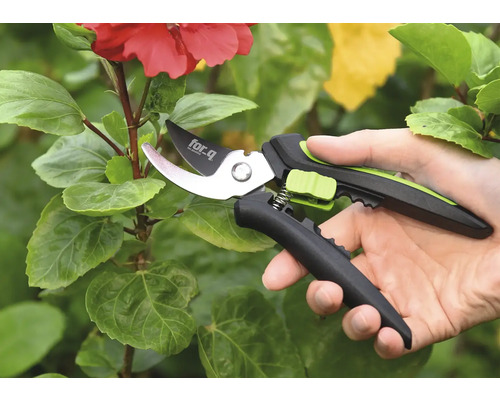 Tuinschaar in gebruik op een plant