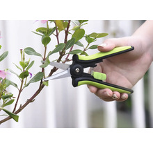 Tuinschaar die een plantenstengel snoeit