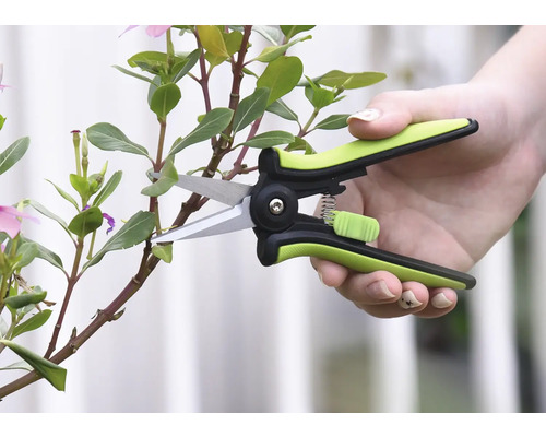 Tuinschaar die een plantenstengel snoeit