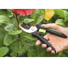Tuinschaar in gebruik op een plant