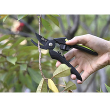 Tuinschaar die een tak doorsnijdt