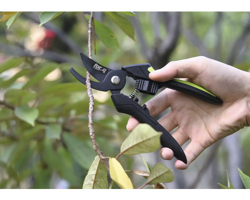 Tuinschaar die een tak doorsnijdt