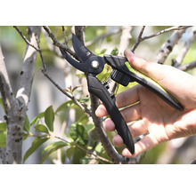 Tuinschaar die een tak afsnijdt