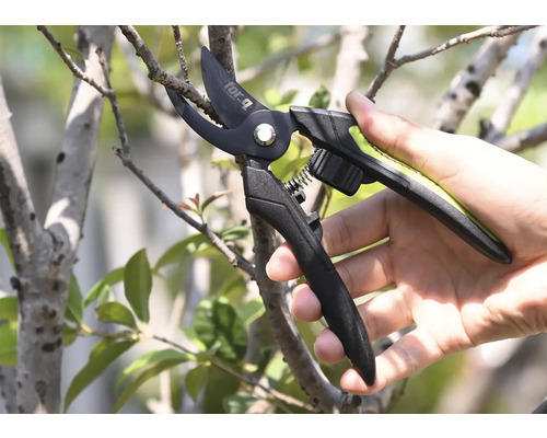Tuinschaar die een tak afsnijdt