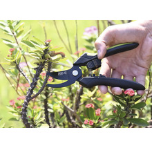 Tuinschaar snijdt een stekelige tak