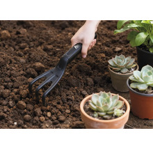 Tuinscene met hand, kleine hark en vetplanten in potten