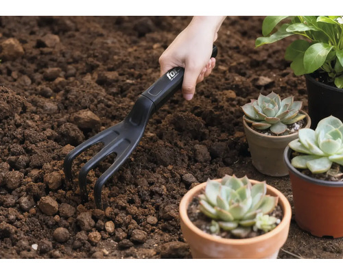 Tuinscene met hand, kleine hark en vetplanten in potten