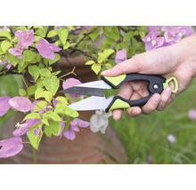 Tuinschaar knipt plant