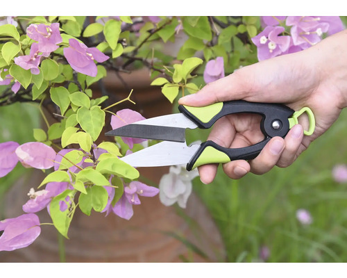 Tuinschaar knipt plant