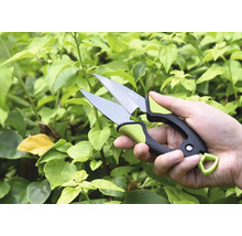 Hand met tuinschaar voor groene planten