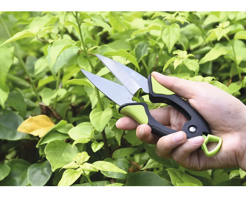Hand met tuinschaar voor groene planten