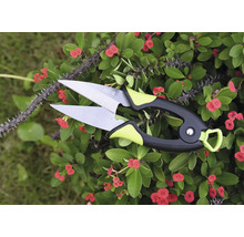 Bloemenschaar voor het snoeien van planten