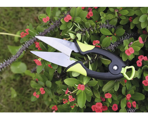 Bloemenschaar voor het snoeien van planten