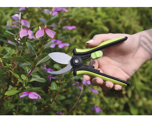 Tuinschaar in gebruik op een plant