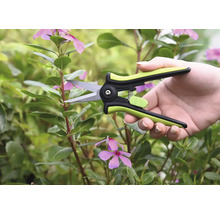 Een persoon snoeit een scheut van de Vinca met een snoeischaar