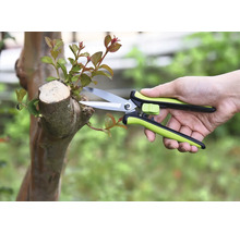 Tuinieren met een tuinschaar aan een boom