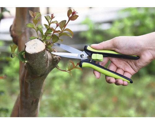 Tuinieren met een tuinschaar aan een boom