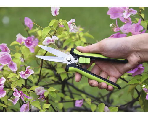 Tuinschaar in een hand voor een bloeiende plant