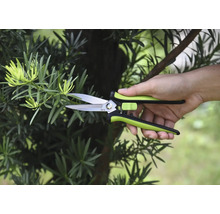 Tuinschaar knipt een tak af