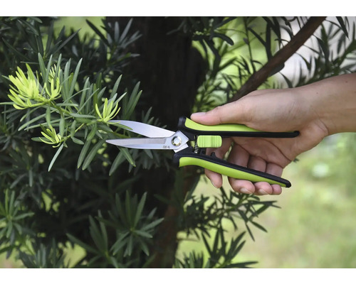 Tuinschaar knipt een tak af