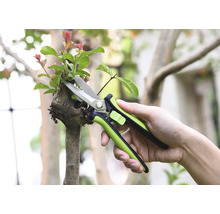 Tuinschaar knipt een tak