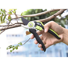 Close-up van een hand die een takkenschaar vasthoudt bij het snoeien van een tak