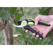 Tuinschaar in gebruik op een tak met bladeren, merk for.q.