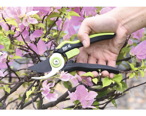 Iemand gebruikt een takkenschaar van for_q om een bloeiende tak te snoeien.