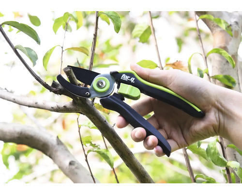 Tuinschaar knipt een tak