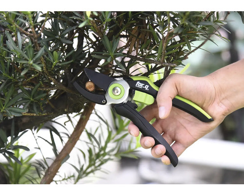 Iemand snoeit een tak met een For Q snoeischaar.