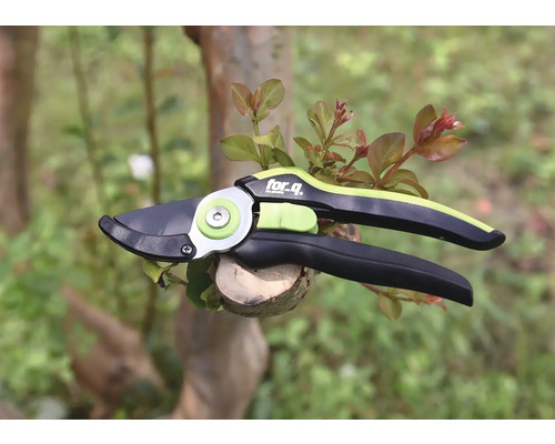 Tuinschaar voor het snoeien van takken