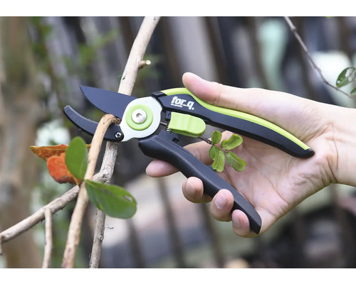 Een persoon houdt een snoeischaar vast bij het snoeien van een tak.