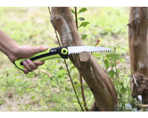 Takzaag bij het zagen van een tak