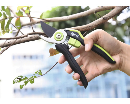 Persoon houdt een for_q tuinschaar vast bij het snoeien van een tak.