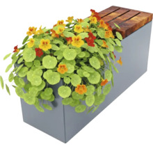 Bloembak met Oost-Indische kers en houten banken