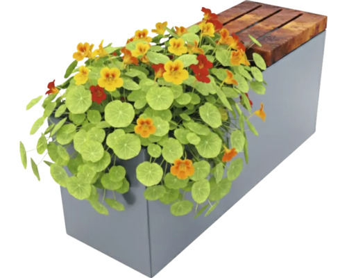 Bloembak met Oost-Indische kers en houten banken