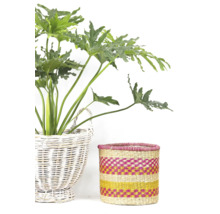 Decoratieve scène met kamerplant in een wilgenmand en een gevlochten mand