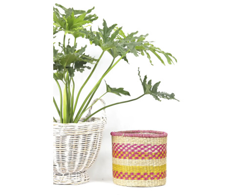 Decoratieve scène met kamerplant in een wilgenmand en een gevlochten mand